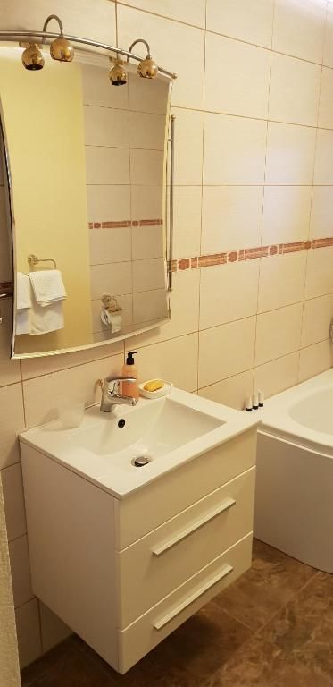 Дома для отпуска Casa Alina Arpaşu de Sus-47