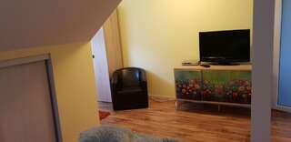 Дома для отпуска Casa Alina Arpaşu de Sus Дом для отпуска-11