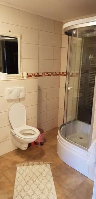 Дома для отпуска Casa Alina Arpaşu de Sus Дом для отпуска-14