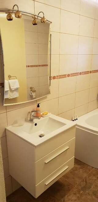 Дома для отпуска Casa Alina Arpaşu de Sus Дом для отпуска-17
