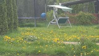 Дома для отпуска Casa Alina Arpaşu de Sus-1