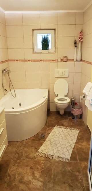 Дома для отпуска Casa Alina Arpaşu de Sus Дом для отпуска-18