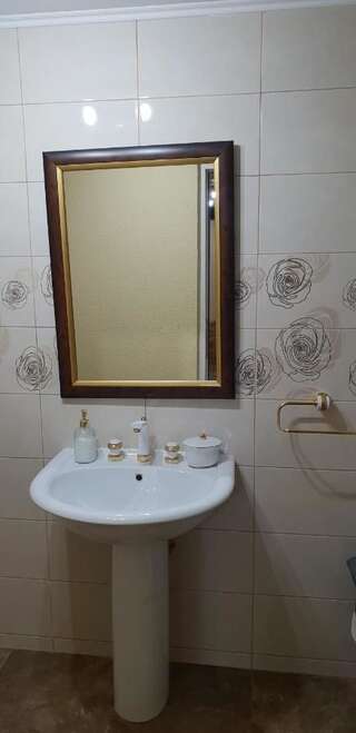 Дома для отпуска Casa Alina Arpaşu de Sus Дом для отпуска-21