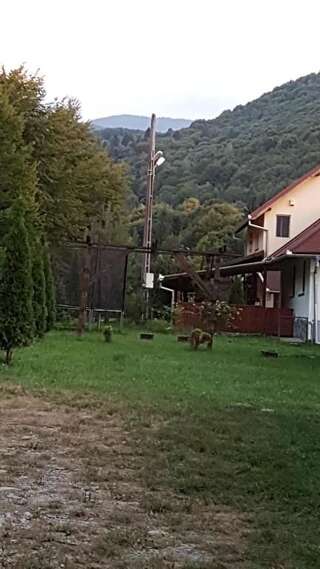 Дома для отпуска Casa Alina Arpaşu de Sus Дом для отпуска-32