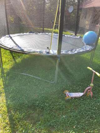 Дома для отпуска Casa Alina Arpaşu de Sus Дом для отпуска-2