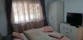 Дома для отпуска Casa Alina Arpaşu de Sus Дом для отпуска-44