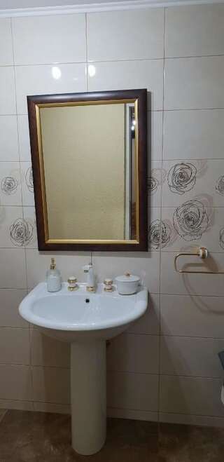 Дома для отпуска Casa Alina Arpaşu de Sus Дом для отпуска-46