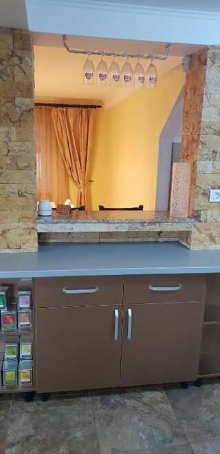 Дома для отпуска Casa Alina Arpaşu de Sus Дом для отпуска-47