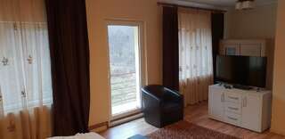 Дома для отпуска Casa Alina Arpaşu de Sus Дом для отпуска-3