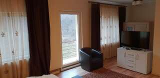 Дома для отпуска Casa Alina Arpaşu de Sus Дом для отпуска-56