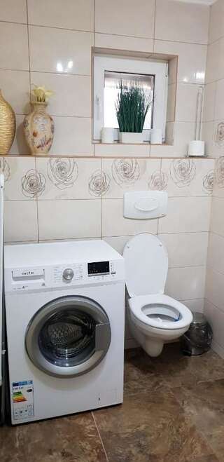 Дома для отпуска Casa Alina Arpaşu de Sus Дом для отпуска-4