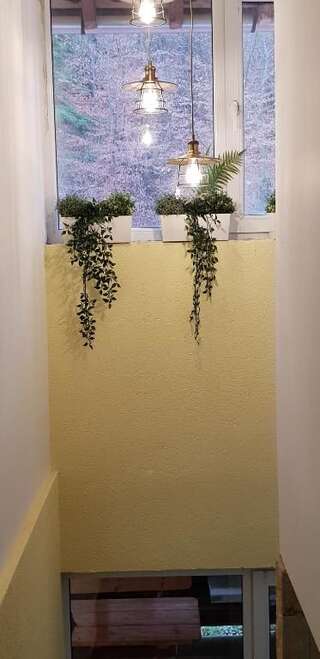 Дома для отпуска Casa Alina Arpaşu de Sus Дом для отпуска-58