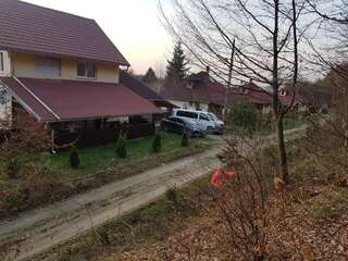 Дома для отпуска Casa Alina Arpaşu de Sus Дом для отпуска-7