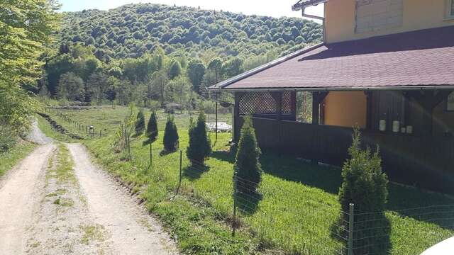 Дома для отпуска Casa Alina Arpaşu de Sus-3
