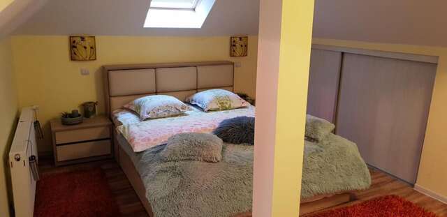 Дома для отпуска Casa Alina Arpaşu de Sus-16