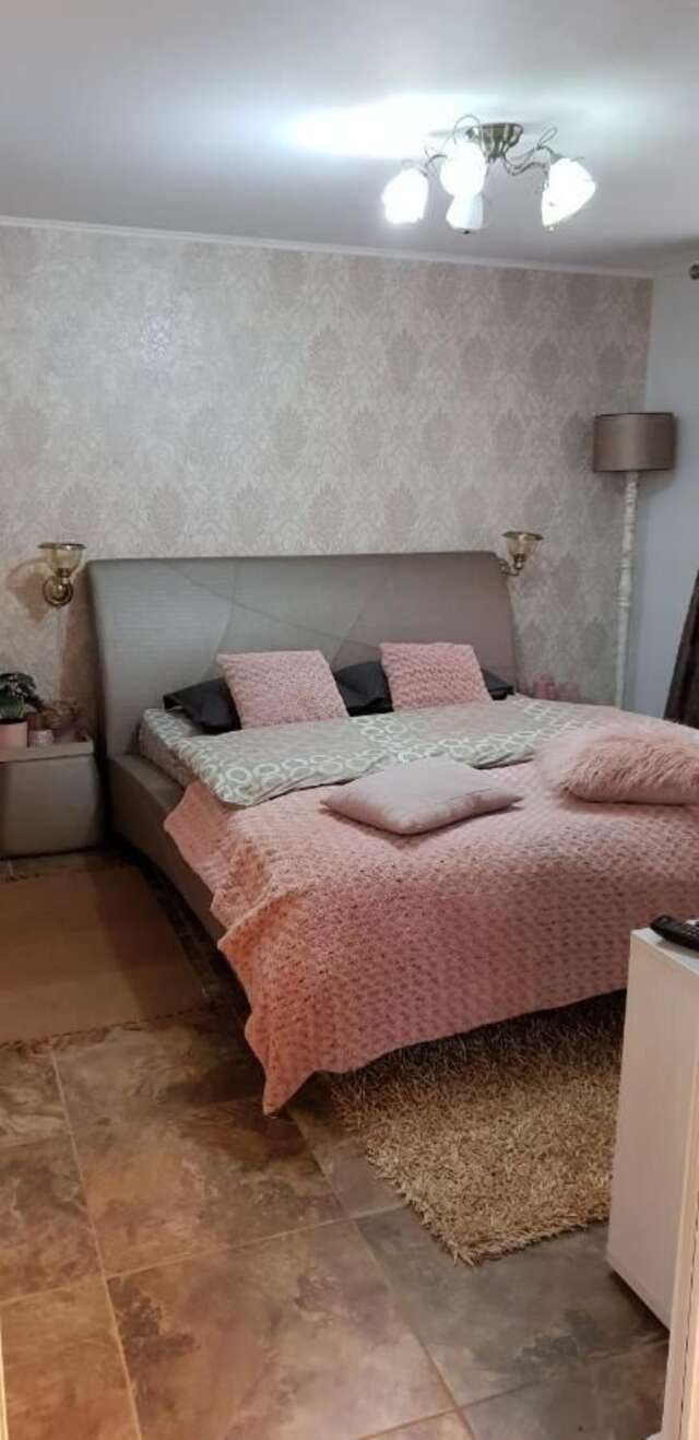 Дома для отпуска Casa Alina Arpaşu de Sus-24