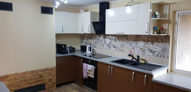 Дома для отпуска Casa Alina Arpaşu de Sus-28