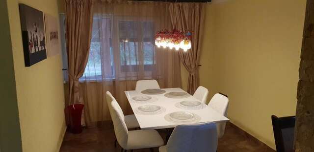 Дома для отпуска Casa Alina Arpaşu de Sus-29