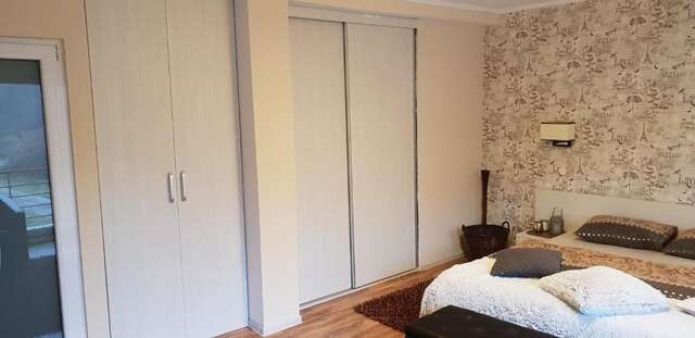 Дома для отпуска Casa Alina Arpaşu de Sus-44