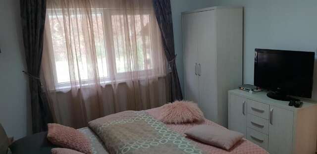 Дома для отпуска Casa Alina Arpaşu de Sus-48