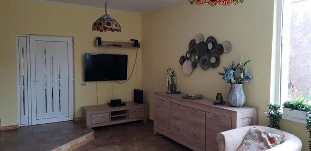 Дома для отпуска Casa Alina Arpaşu de Sus-56