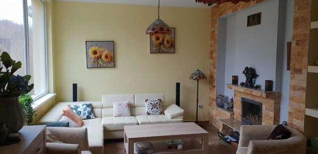 Дома для отпуска Casa Alina Arpaşu de Sus-57