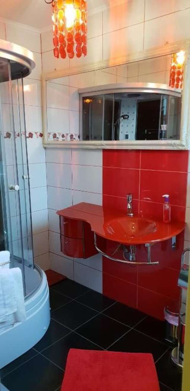 Дома для отпуска Casa Alina Arpaşu de Sus-61