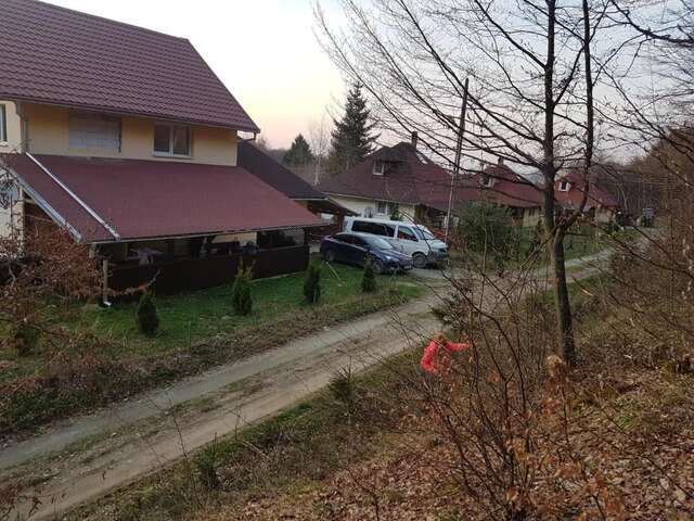 Дома для отпуска Casa Alina Arpaşu de Sus-11